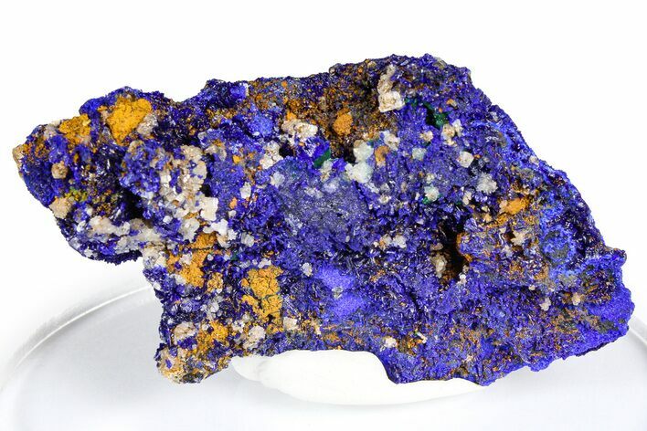 Cerussite Crystals on Sparkling Azurite - Congo #368229